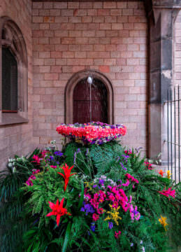 Corpus a l'església de Santa Maria del Taulat