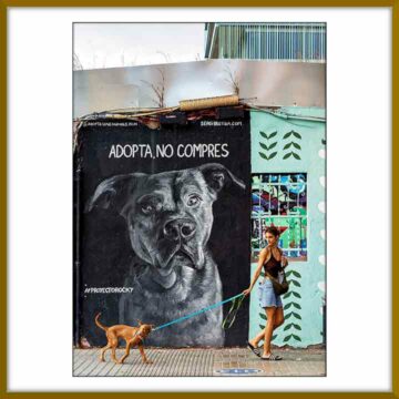 Classificació del 10è RAL·LI FOTOGRÀFIC