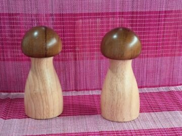 Concurs BOLETS: visualització de les fotos