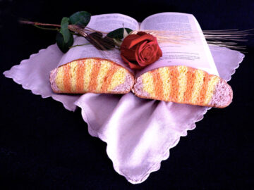 Formació contínua 2026