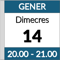 Formació contínua: videoconferència