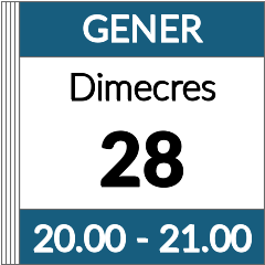 Formació contínua: videoconferència