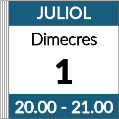 Formació contínua: videoconferència