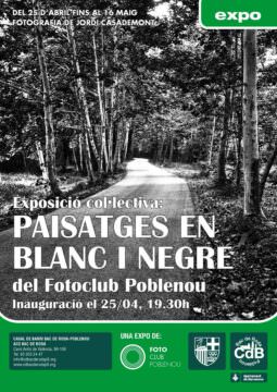 Exposició PAISATGES EN BLANC I NEGRE